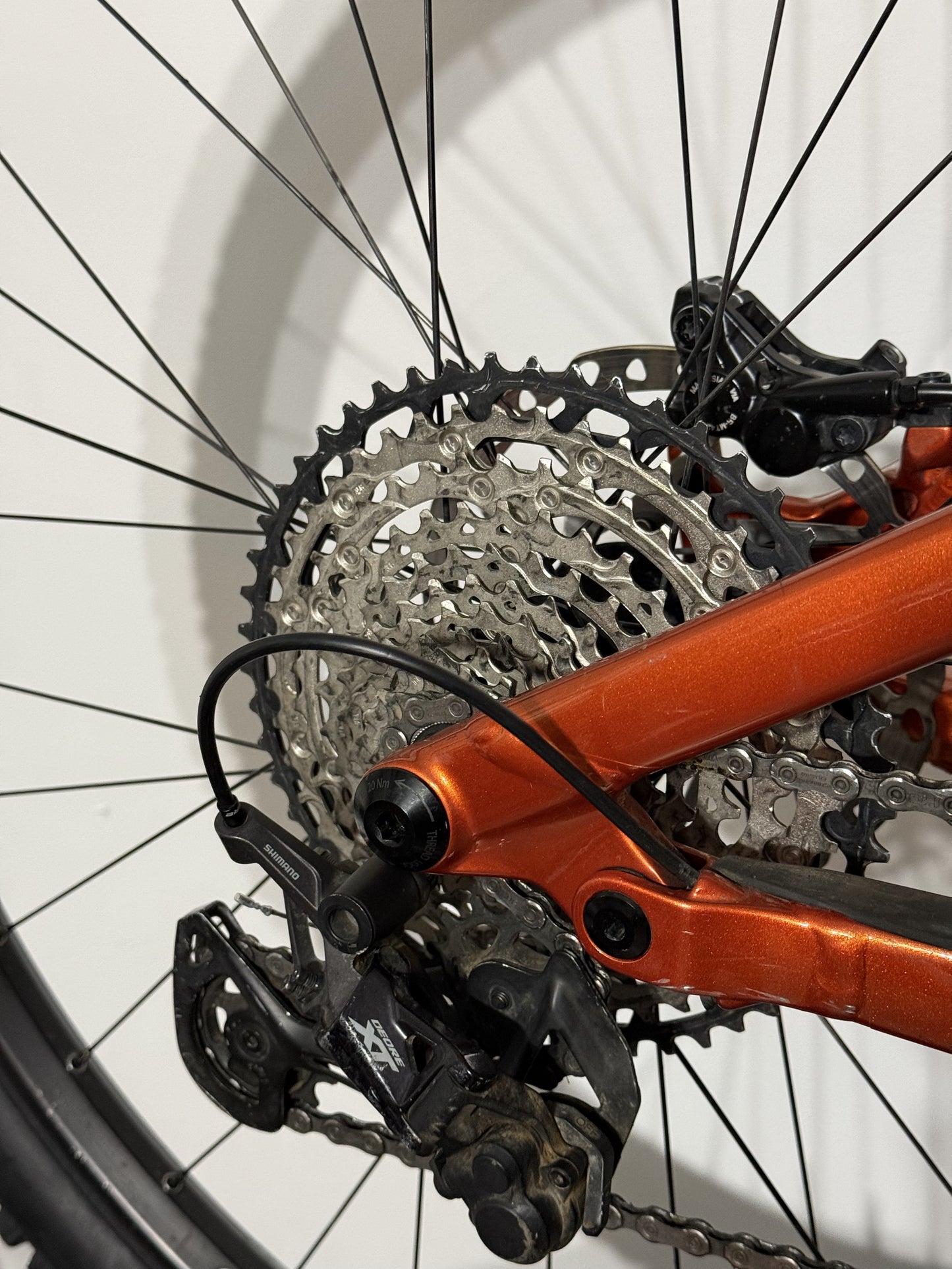 NORCO Optic C3 Large