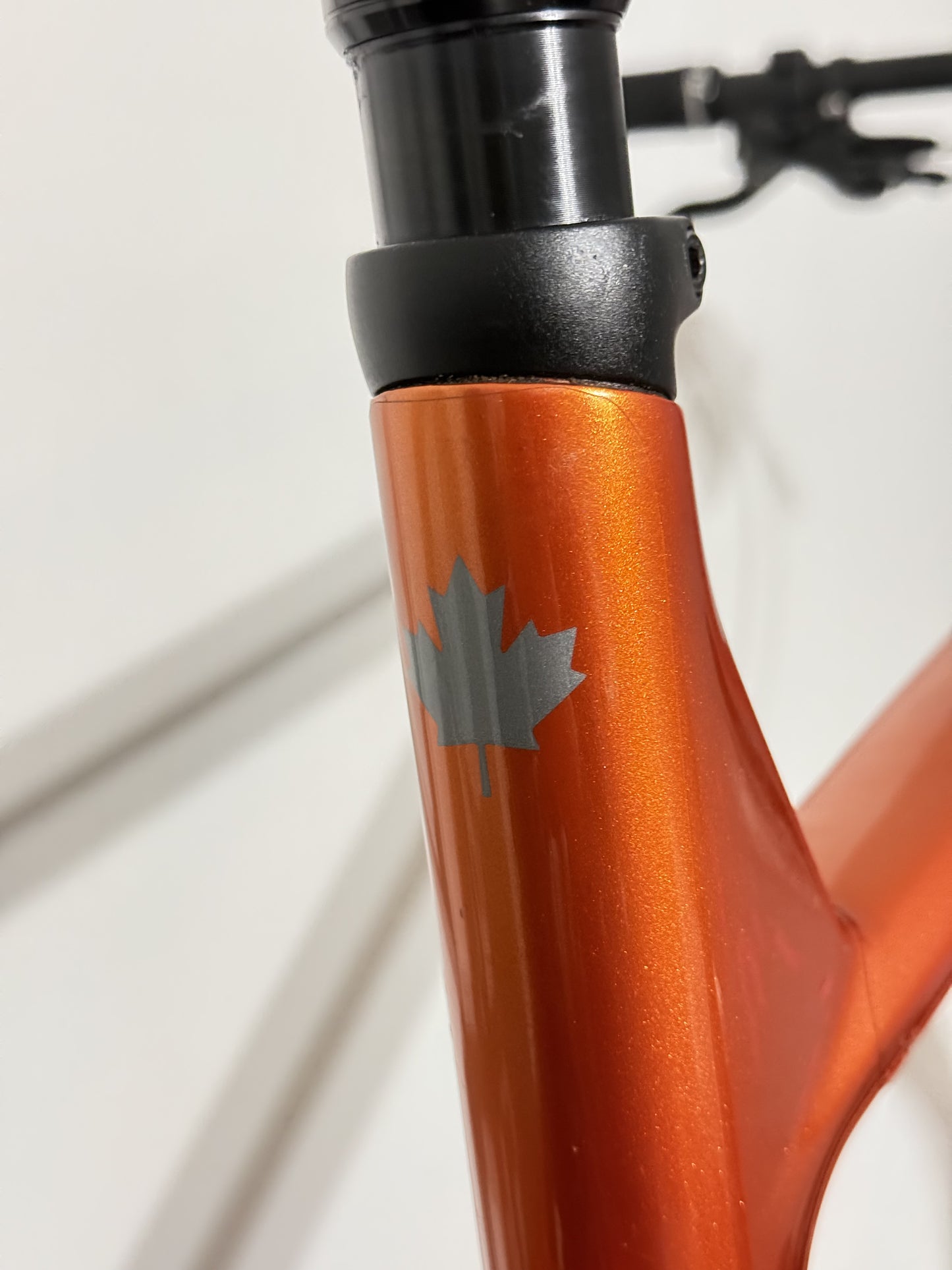 NORCO Optic C3 Large