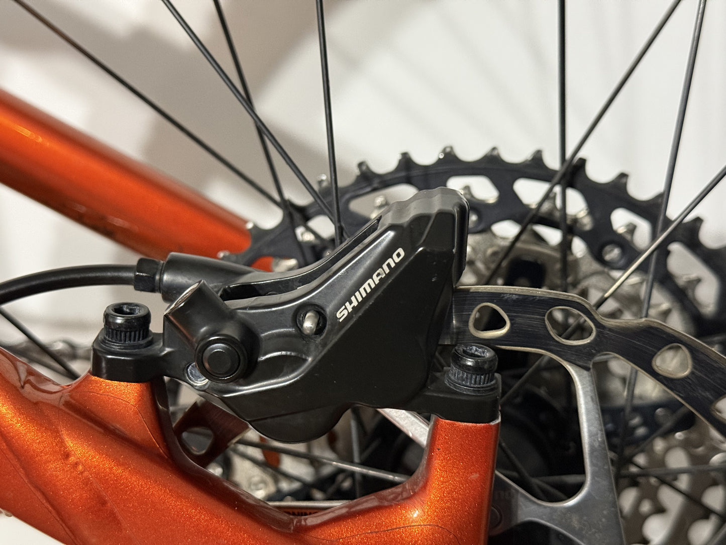 NORCO Optic C3 Large